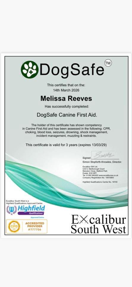 DogSafe Canine First Aid certificate for Melissa Reeves